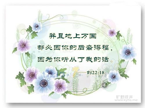 ����Ӧ����ƾ���š������ɷ�