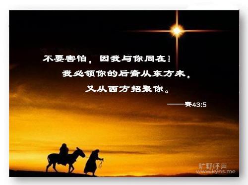 Ү�ջ���������Ԥ�ף�3��