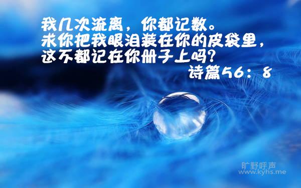 ���롰Ƥ���������֡����ᡱ