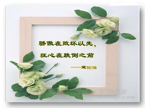 副本_副本.jpg