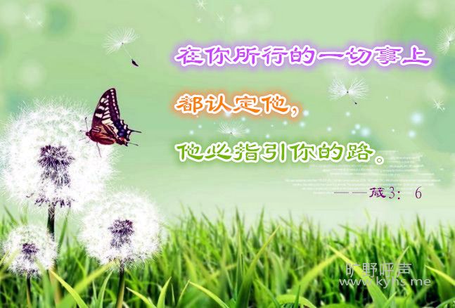 ÿ�εĴ������������