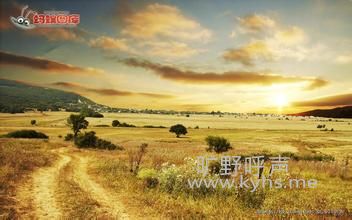 u=606350547,3401319877&fm=21&gp=0.jpg