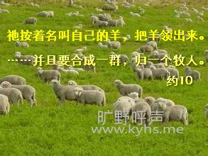 ����Ȧ���롰��Ⱥ��