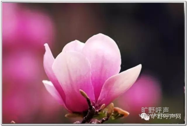 640.webp (1).jpg