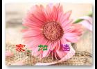 ���ڽ��£��ҡ��ӡ���