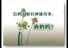 �ŵ��˱��������£������