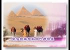 �ǲ����������Ĵ��밣��