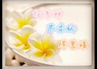 Ͷ���񡢾����ݡ����ɸ�