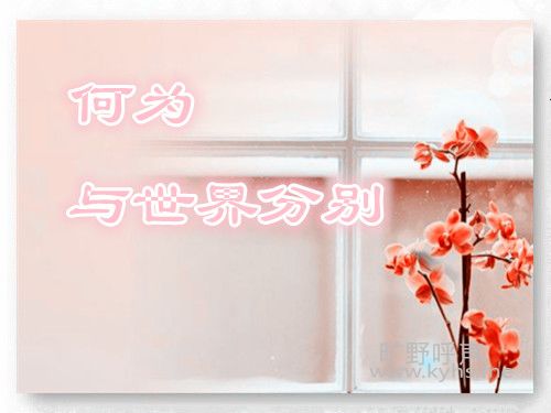 04.jpg