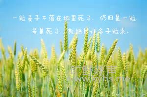һ�����ӵ��̷�