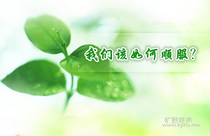 01_����.jpg