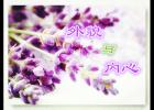 ����ò���롰���ġ�