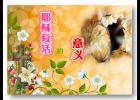 Ү�ո��������