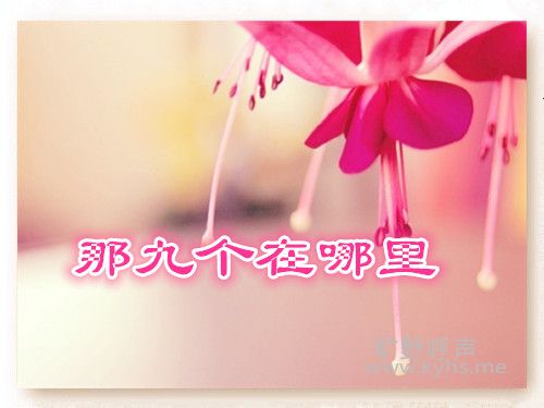 �ǾŸ�������