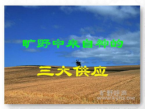 ��Ұ�������������Ӧ