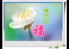 �Ӵ�֮��