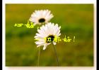 �ĺã�һ�ж��ã�