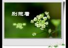 ���š�Թ��