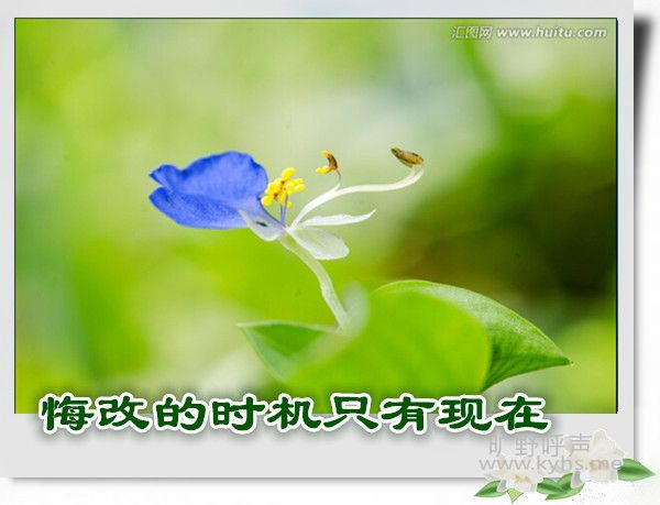 01_����_����.jpg