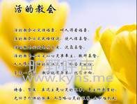 ����֦201503-�ܵ�15��pdf�������