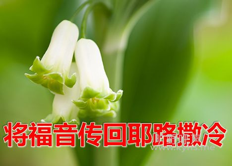 ��ô��������������Ү·���䡯�˶���