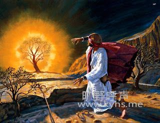 ����ϵ��(��)��Ħ��Moses