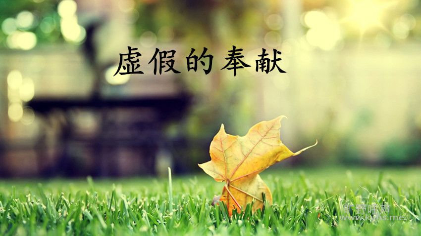 fengxian.jpg