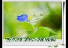 �ڸĵ�ʱ��ֻ������