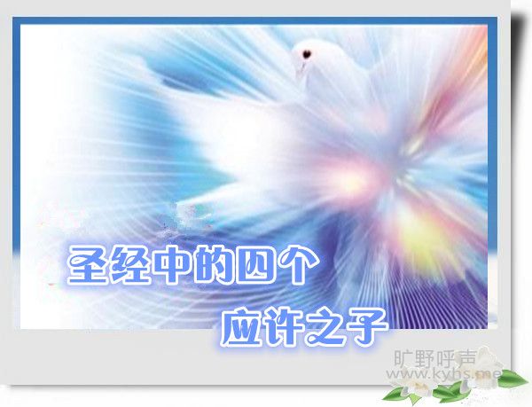 01_����_����.jpg