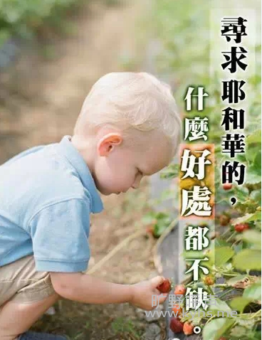 ��ʦ���Լ��ĺ���