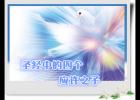 ʥ���е��ĸ�Ӧ��֮��