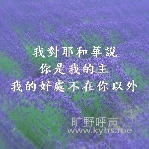 �ҵĺô�����������