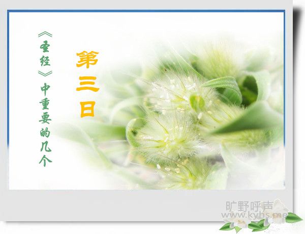 01_副本_副本.jpg