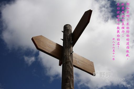 1100048332c060dfcal.jpg