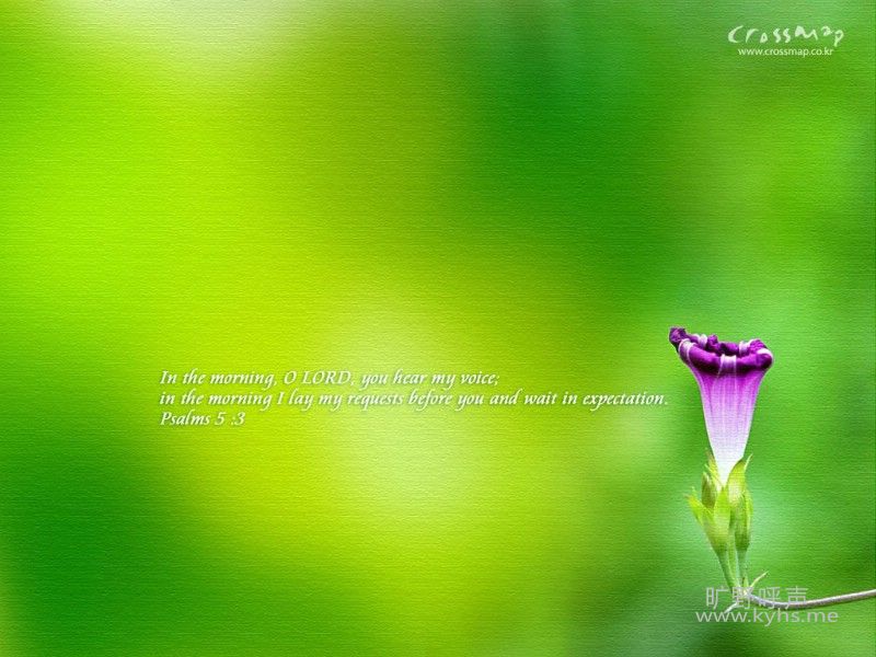 nature_crossmap-02_21641_m.jpg