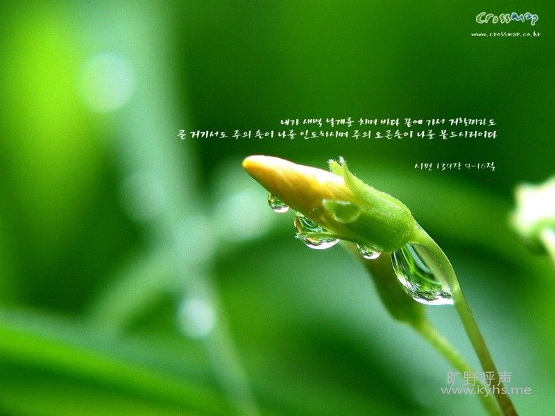 nature_crossmap-03_18573_m.jpg