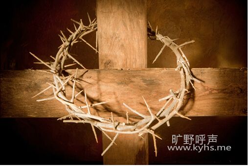 03.jpg