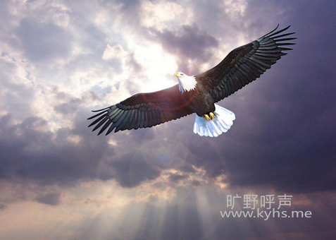 QQͼƬ20150906215421.png
