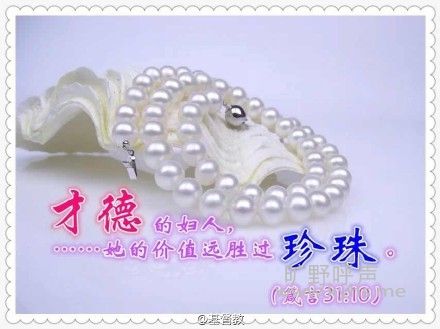 Զʤ��Ǯ�ı���