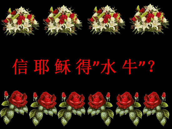 00429w3ogy6VR4JOEZZ23&690.gif