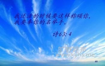 ��ʥ�����д��ܵ������ʾ
