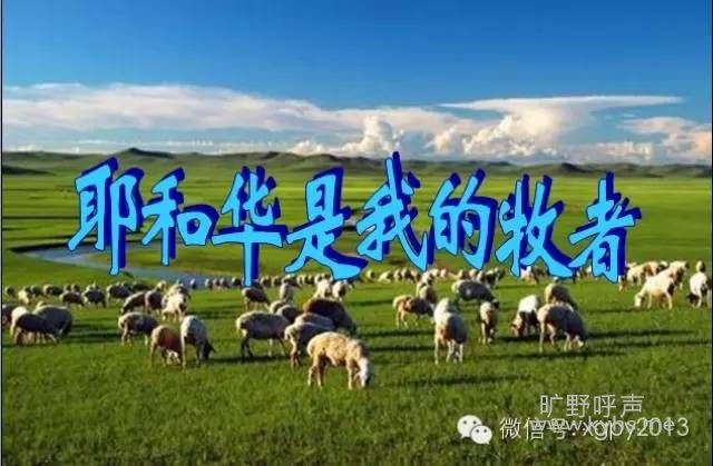 Ү�ͻ� ���ҵ�����