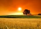 �ʢ��ʱ��Ҳ����Σ�յ�ʱ��