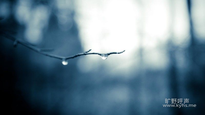 39409126_1412780308790_800x600.jpg