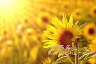 u=4181385696,1312213400&fm=21&gp=0.jpg