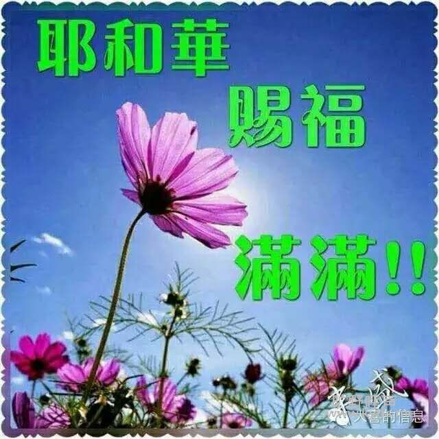 be551437ae600d50401ce3f8f69e1398.jpg