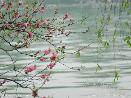 130545afgbnzsffrmzbyye.jpg