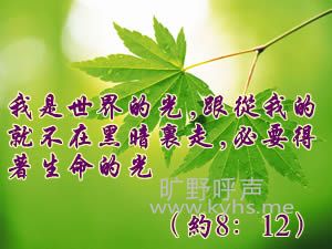 20091207112834465.jpg