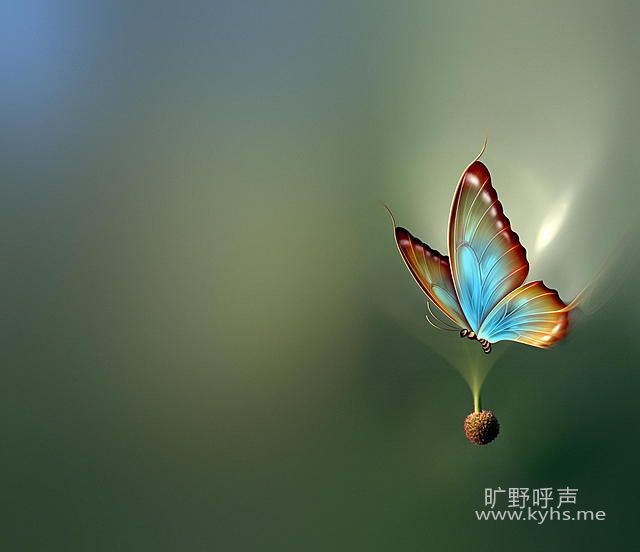 092dacce35578f25678c1dd5f3abc538.jpg