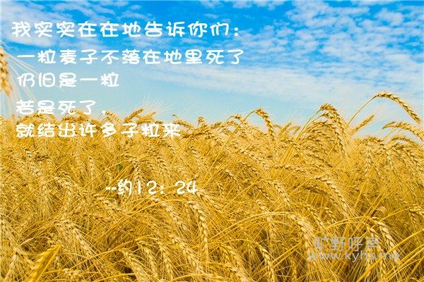 һ������.jpg